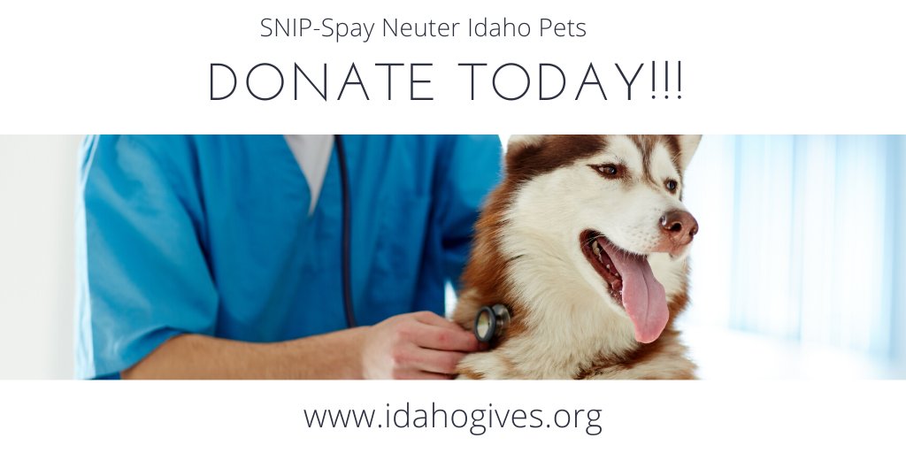 Spay/Neuter ID Pets (@snipidaho) on Twitter photo 