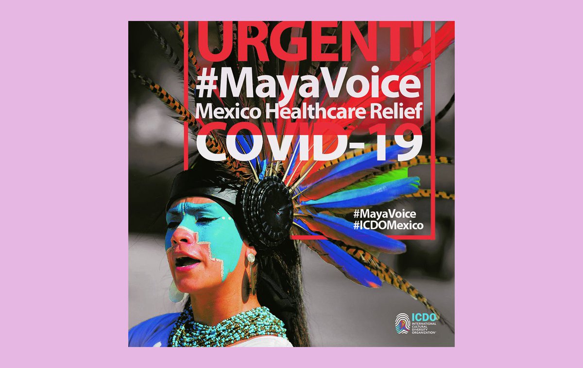 MeowMag's tweet photo. Sé parte de #MayaVoice donde la ayuda de todos es clave @ICDOat #MEOWfriends 👀🙌 https://t.co/jGE01o4s9f https://t.co/iT9bw7NNZV