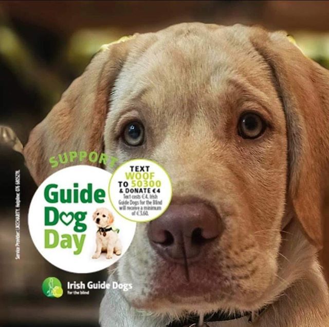 irishguidedogs's tweet image. Have you seen our PAWsome frame?
You can add this to your profile twibbon.com/support/irish-…
Add this to your image and share with us using #GuideDogDay.