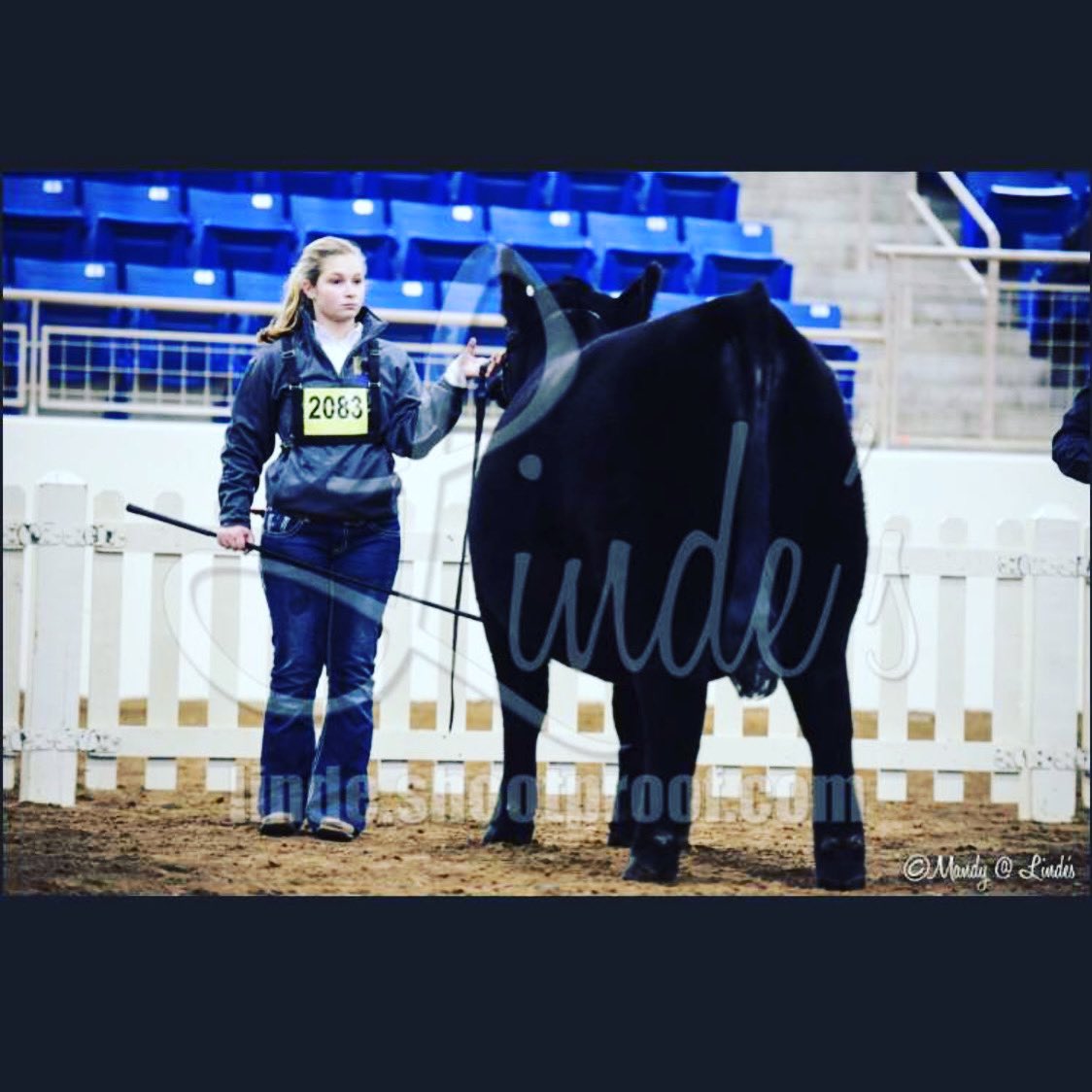 FfaGifford's tweet photo. Raven Eisenhour is our member of the day! Raven is being highlighted for her active participation in the chapter. Raven currently has an SAE project on beef cattle and works on her family’s crop and beef farm. https://t.co/e0zLU6JIRH