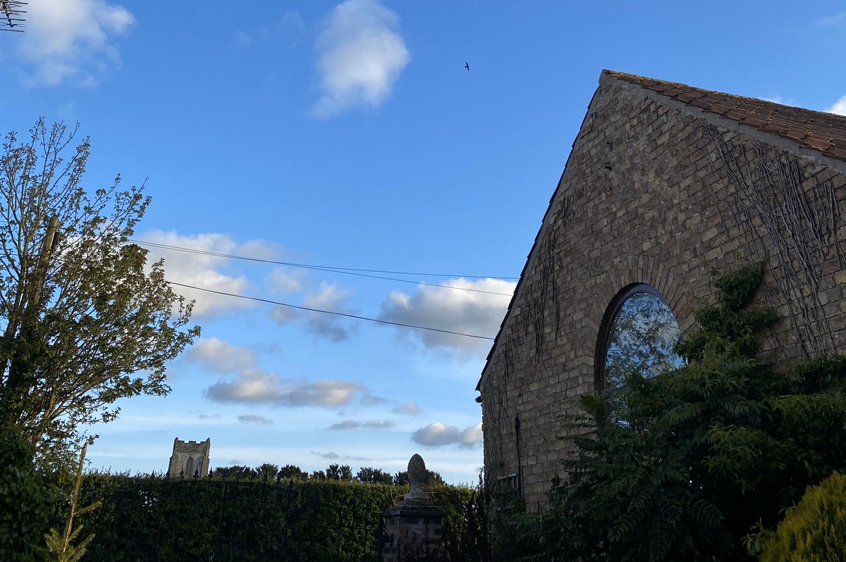 WuWei33's tweet image. Love you till Tuesday! #swiftsprings #hunkereddowninharpham #lovingstayingathomeloving