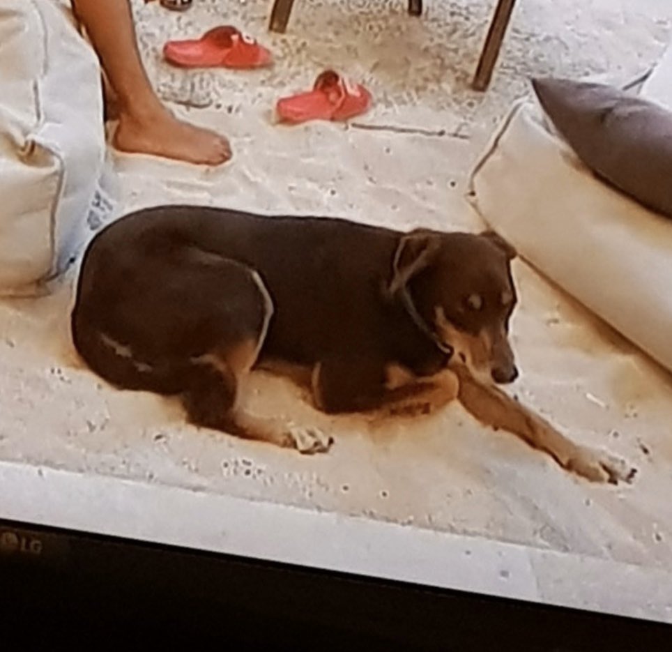 ✩ 𝒄𝒆́𝒍𝒊𝒂 ✩ tweet media