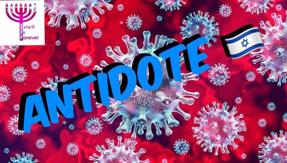 IsraelIsForeve1's tweet photo. Vive le génie Juif ! Israel a trouvé un antidote contre le virus corona: un anticorps qui attaque uniquement le virus et peut le neutraliser dans le corps infecté. 
Le Ministre Bennet: "La créativité et l'esprit juif ont réussi cette réalisation incroyable" https://t.co/ojkiUMRJdp