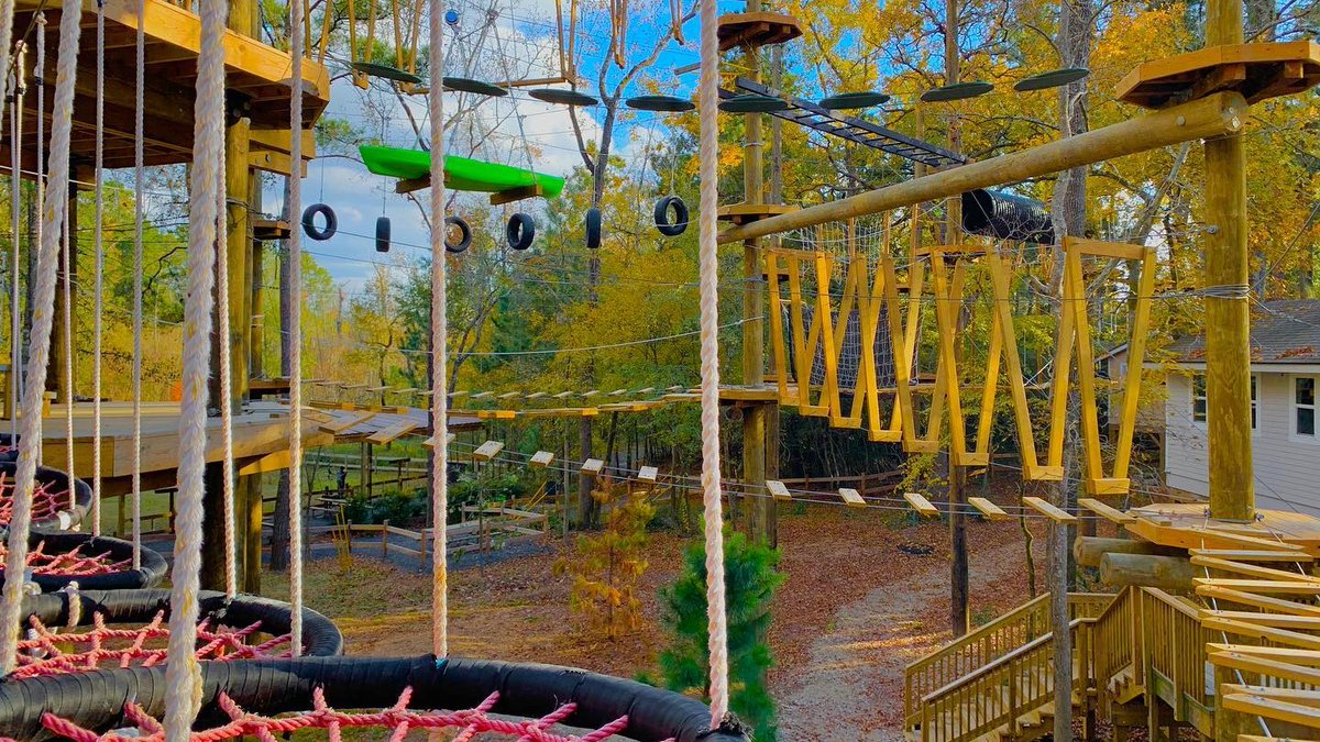 TheWoodlandsCVB's tweet photo. Hey road trippers, you made it to The Woodlands, Texas.  Welcome and thanks for participating in this #virtualroadtrip! Are you up for an outdoor adventure? Climbing at @TXTreeVentures is always a blast. https://t.co/ARcwhYou2I