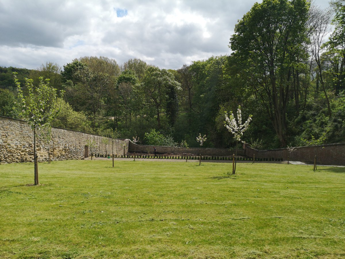 Loumurphygarden's tweet photo. The Walled Garden is a feast for the eyes as we continue to plant all manner of fruits and vegetables. The team have been hard at work, nurturing plants in the greenhouses, grass cutting in The Orchard and planting Brassicas,herbs & spices #aucklandproject #lovebishopauckland https://t.co/zoqA1B8MDK
