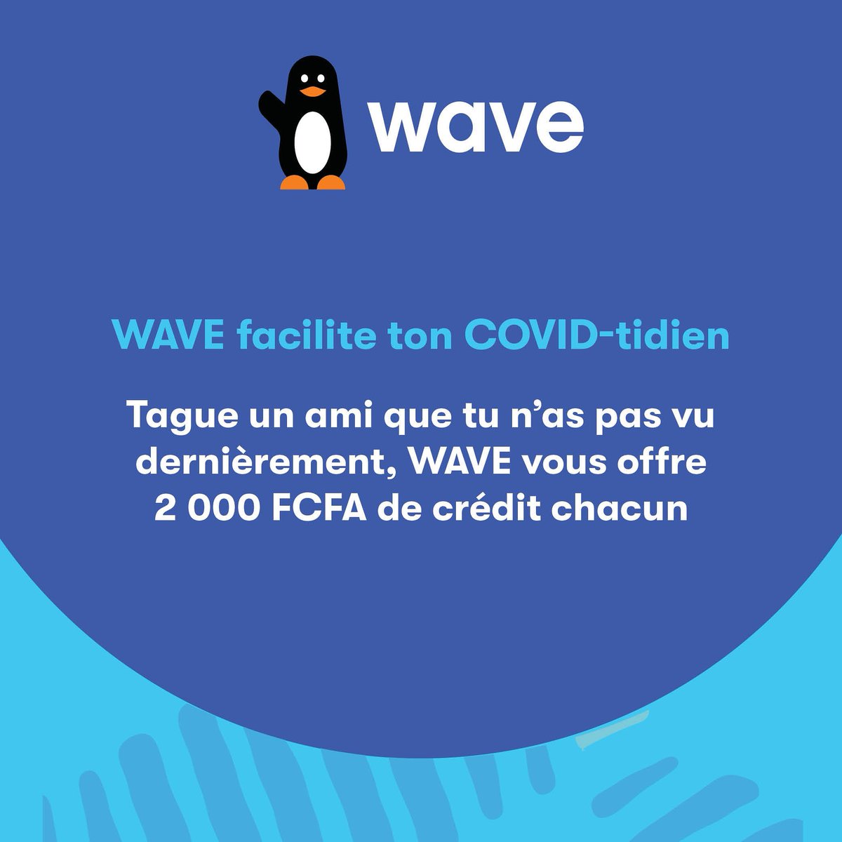 Wave Sénégal tweet media