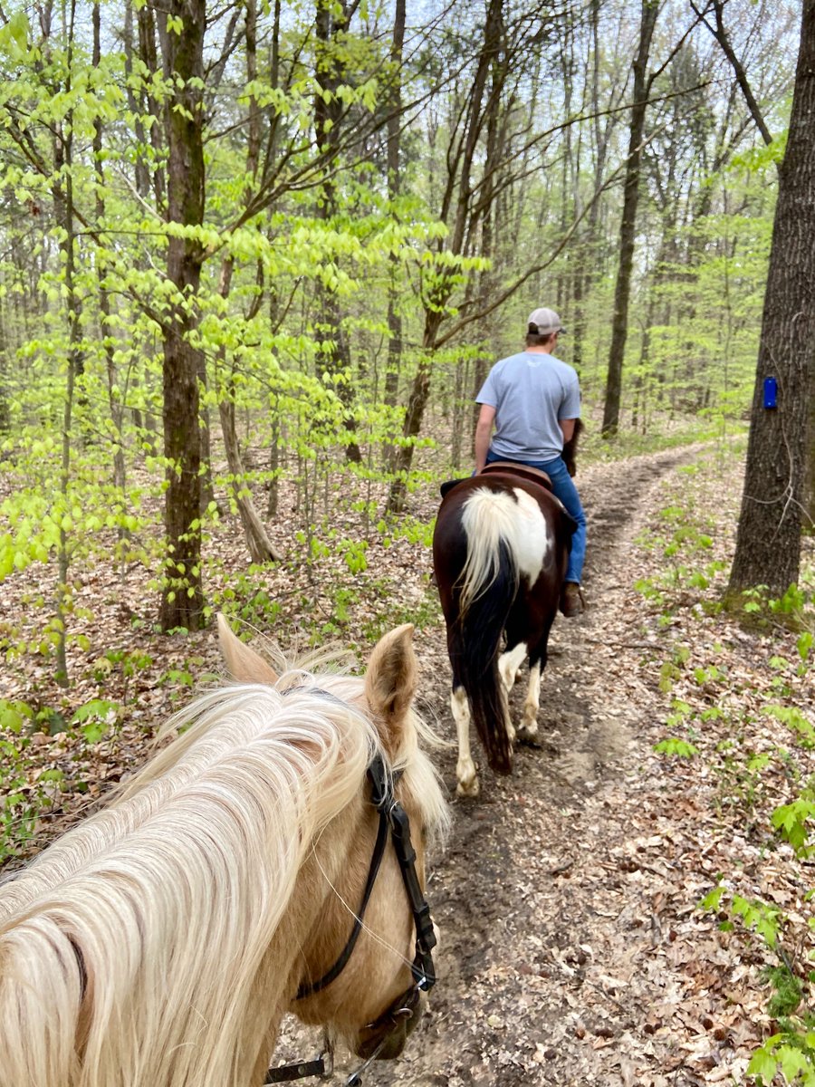 Compass EAST tweet media