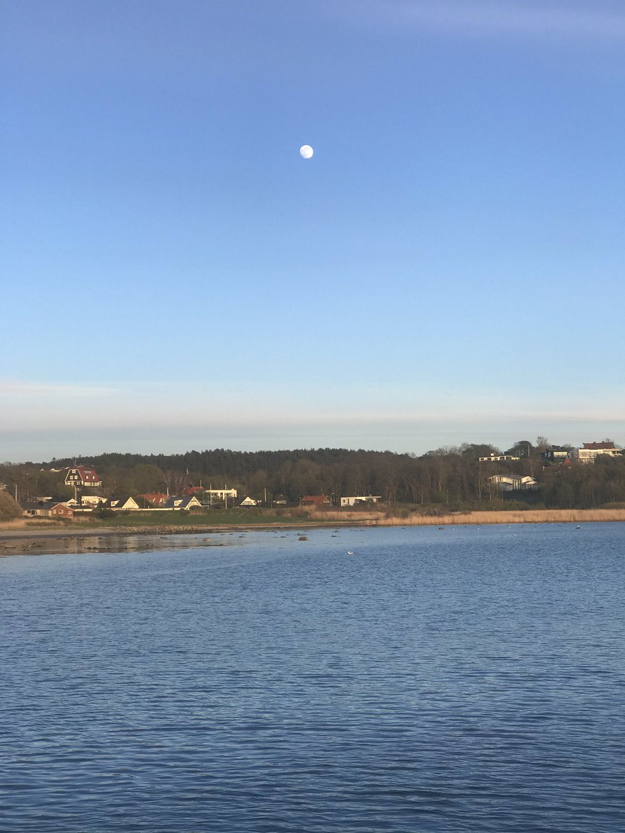 IonSwitz's tweet image. After these cooped up work-from-home days, it’s nice to let the eyes stare off towards the horizon for a while. #NotWarm #NotWarmAtAll