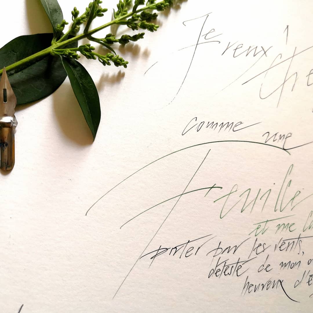 LCalligraphie's tweet photo. Mai Challenge #callifabechallenge
5th Feuille 🍃🌿🍀
#calligraphy #calligraphers #calligraphique #dailyink #dailymotivation #dailypictures #dailylettering #dailycalligraphy #plume #calligraphers #calligraphique #copperplate #elegant #stilllifegallery https://t.co/6qDtHOlyl6