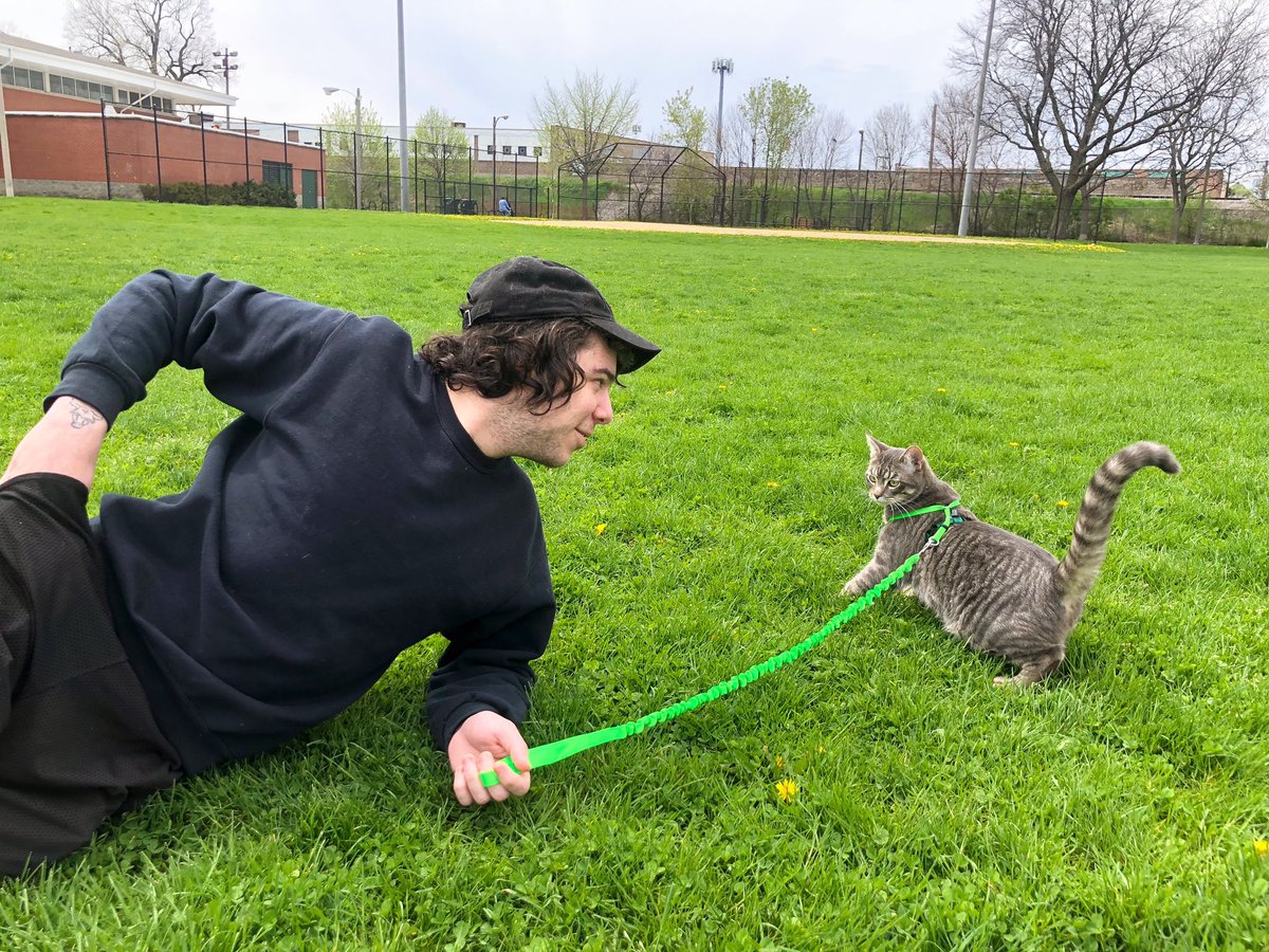 Jack + Banjo by @chloecroom