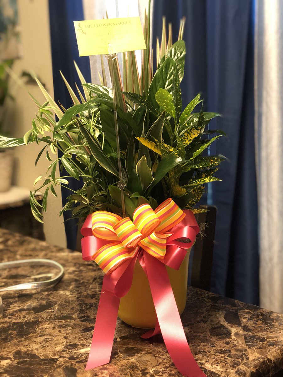SChandelier's tweet photo. Thank You for all the support. I truly appreciate and love my Home Depot Family. See you guys soon. https://t.co/vyeYF8BoIR