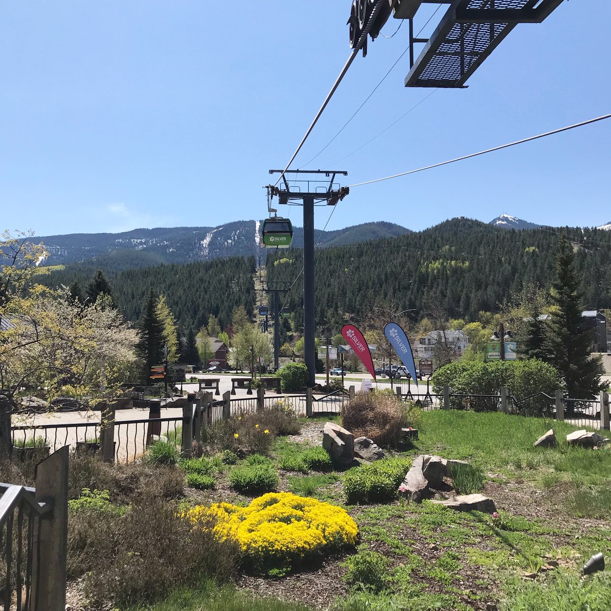 Silver Mountain tweet media