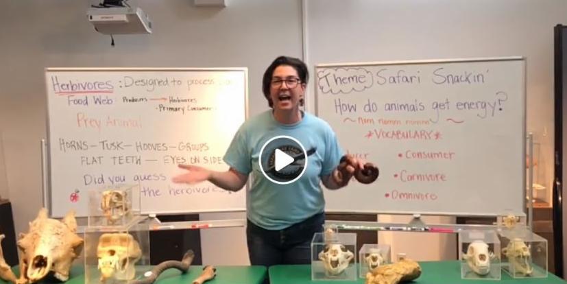 Did you miss today's "Teaching Tuesday" live on Facebook? You can still catch all the fun at facebook.com/Louisvillezoo/…. Season presented by <a href="/Ford/">Ford Motor Company</a> and <a href="/TMobile/">T-Mobile</a>