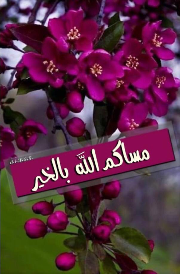 محمد ال خليف tweet media