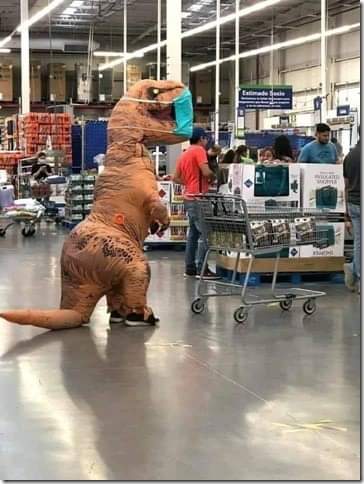 J_Whitburg's tweet photo. Just out here trying to get TP for my fam. Just sucks i cant actually reach to wipe myself...

#coronavirus #toiletpaper #trex #QuarentineLife https://t.co/xao1PkBDEQ