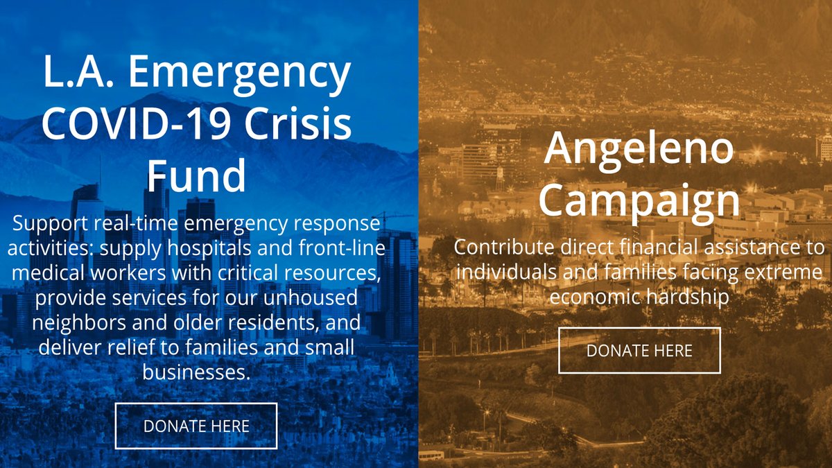 Support real-time emergency response activities: supply hospitals and front-line medical workers with critical resources, provide services for our unhoused neighbors and older residents, and deliver relief to families and small businesses. mayorsfundla.org