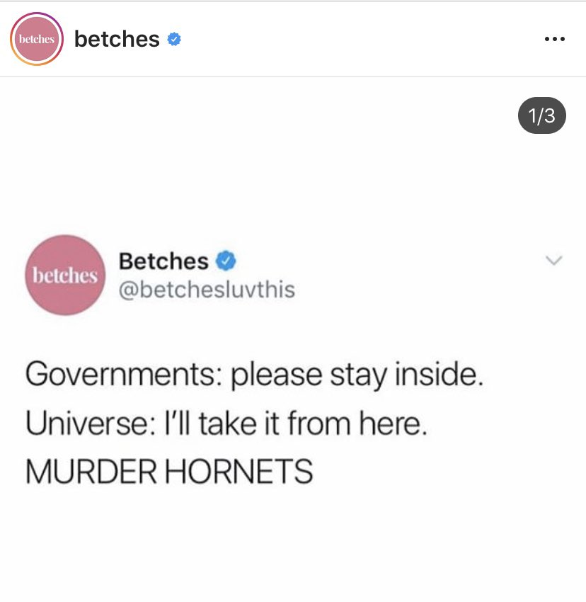 privtalks's tweet image. Like seriously...