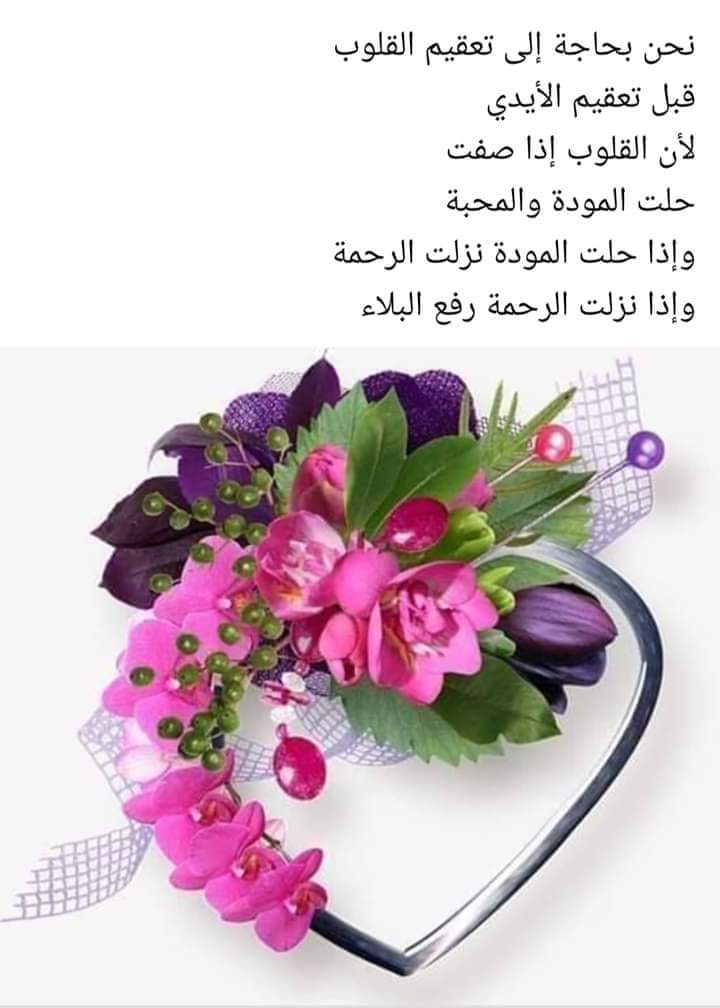 محمد ال خليف tweet media