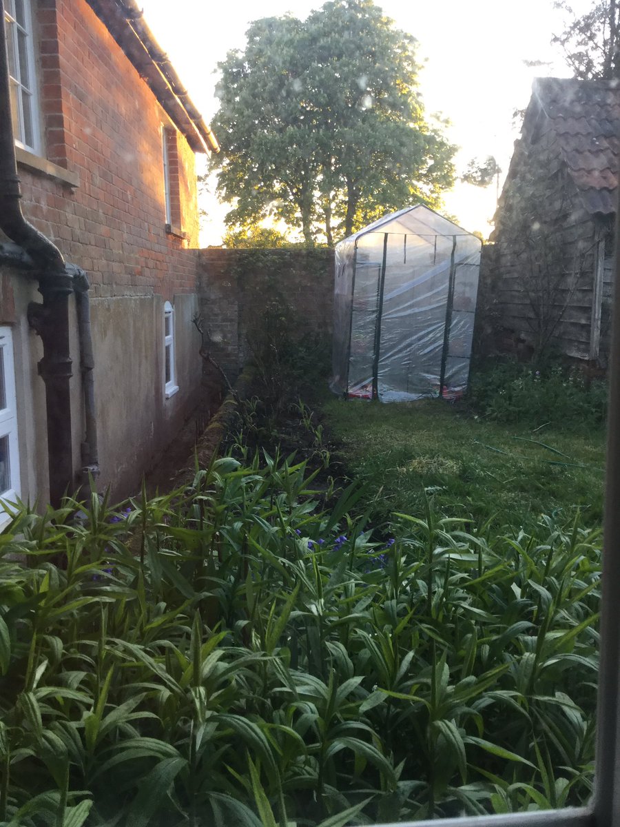 clarescastle's tweet photo. Another Tuscan Bean Stew kind of evening. Comfort food before a sad anniversary tomorrow. Have planted cucumbers, chillies, baby sweet corn, parsnip + am making an audacious attempt to grown watermelon from seed. We’ll see. Also see I need to clean windows. #FlowerandProduceShow https://t.co/mJ6kr7jM0y