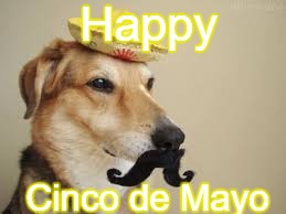 sp_tools_usa's tweet image. We hope the 4th was with you yesterday, and that Cinco de Mayo on Taco Tuesday kicks ass!

#SPTOOLSUSA #CINCODEMAYO #BESAFE #6FTAPART