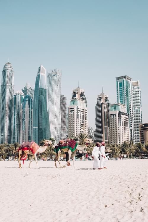 WINTER SUN IN DUBAI 🏝

Dubai is the perfect place for a spot of winter sun.  With a flight time of just over 6 hours and with only a 3 hour time difference, jet lag isn't a thing and its near enough to get away for just a few days #dubai #wintersun #trustedtravel