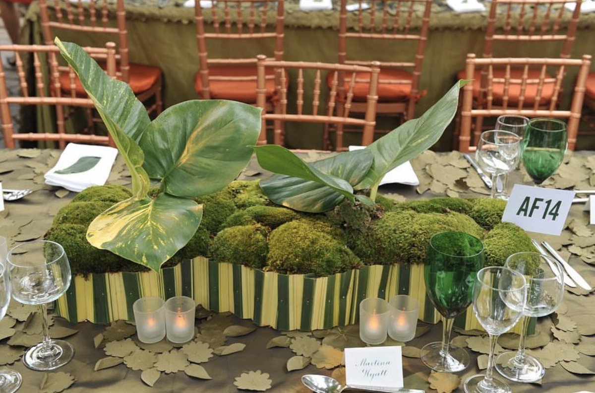 prestonrbailey's tweet image. Low arrangements.

It could be for a wedding, benefit or corporate events. It’s always a challenge to create a low arrangement that is a bit unique.
More images on my Instagram!

Please tell us your favorite.
#PrestonBailey