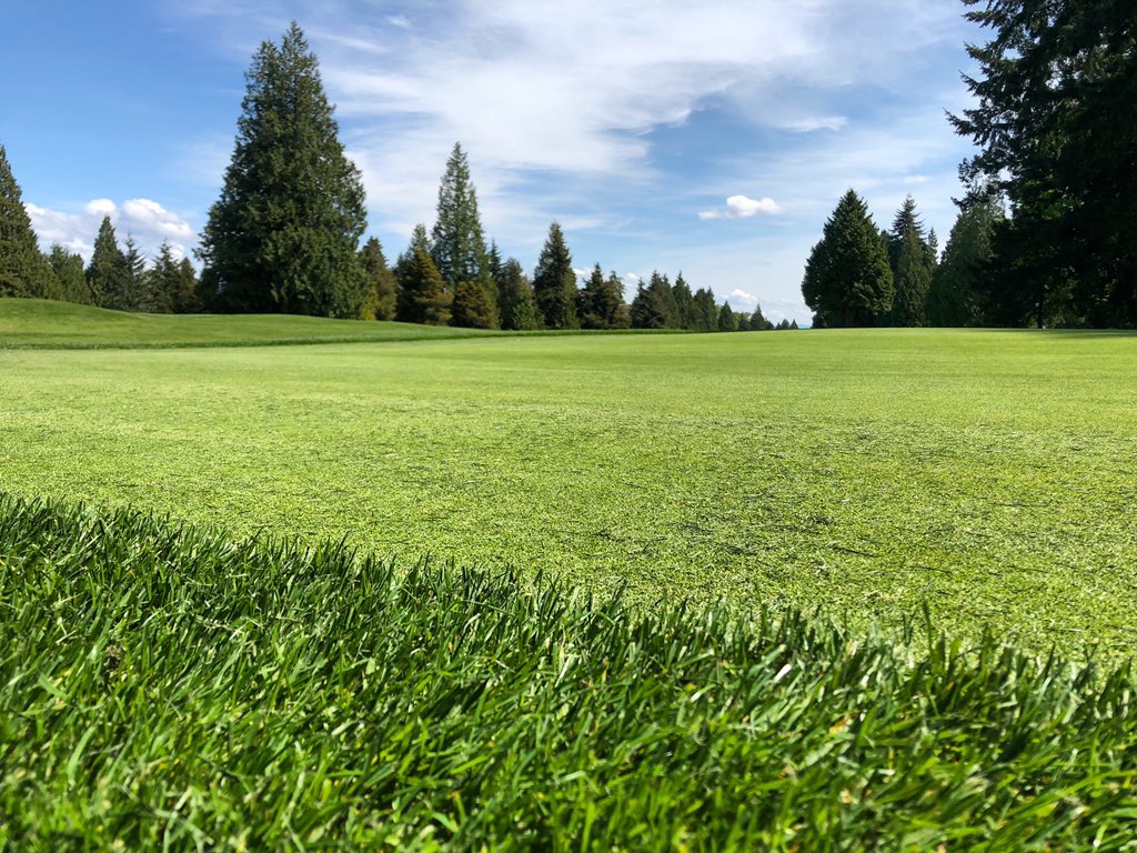 Who’s ready for opening day⁉️
⠀⠀⠀⠀⠀⠀⠀⠀⠀
Online reservations will be available tomorrow, with 2-day advanced bookings for the time being.
⠀⠀⠀⠀⠀⠀⠀⠀⠀
We’ll see you on the first tee FRIDAY. ⛳️