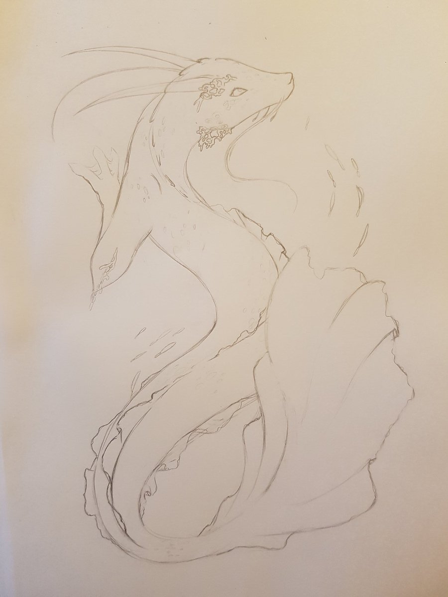 ArtHayrin's tweet photo. Little break from uni stuff
#traditional #traditionalart #sketch #original #originalcharacter #originalcharacterart #pencil #dragon #sea #ocean #coral #fins #mythicalcreatures #school #barnicles #horns #whiskers #artistsontwitter https://t.co/heLRCvt5Ry