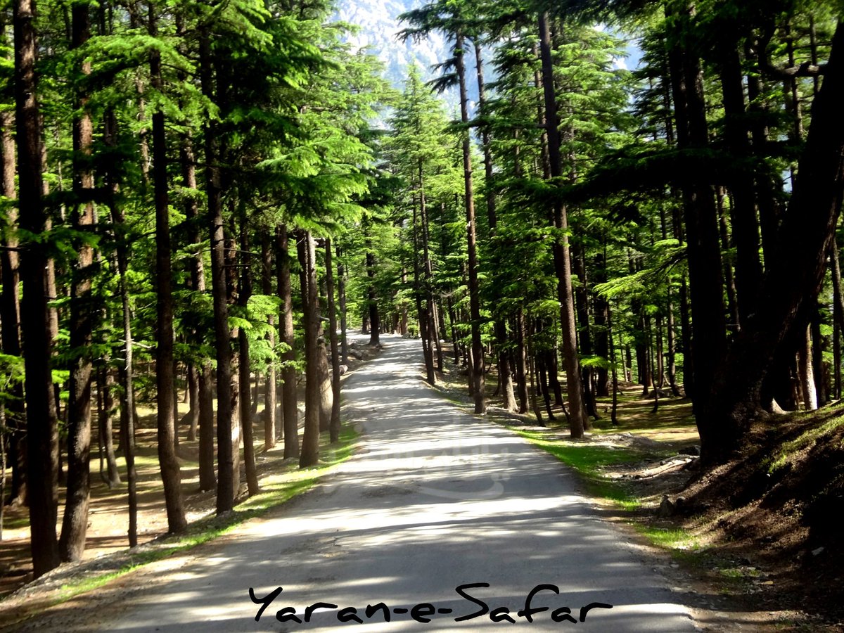 livingthemiles's tweet photo. Wood is good⛰️🇵🇰❤️🏍️ https://t.co/qnHikmuOln