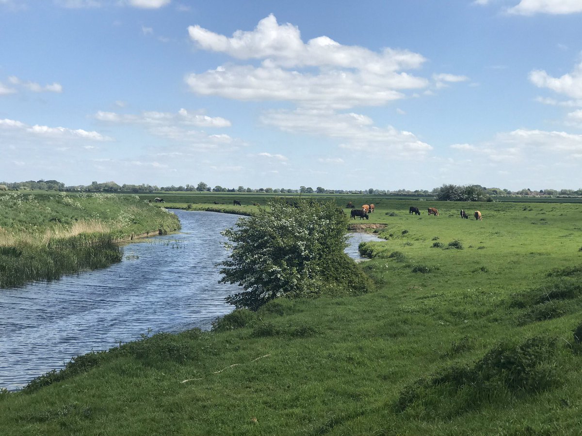 Day 44 of positives  Today I went on a lovely bike ride in the sun with my dad  we saw Cows, Hares, Horses, Geese, Swans, Ducks and Birds with a chocolate pit stop and it was great! I also baked an apple cake, did a virtual boot camp 