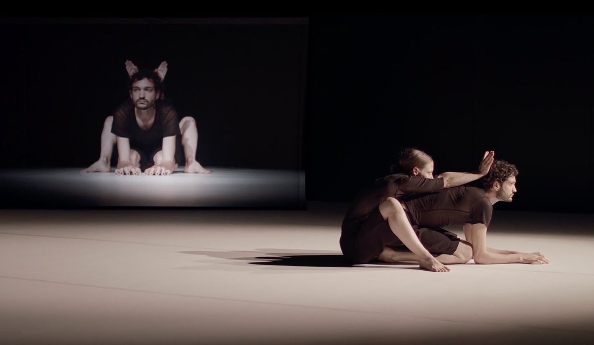 twitijele's tweet image. A good moment of a dance piece about what makes cat - a cat. The dancer, choreographer and a singer of a gentle voice Dagmar Dachauer is meticulous in her micro movements, creating a lazy, clean, scientific environment via @AerowavesEurope #SpringForward20