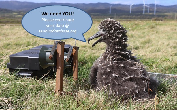 Dena_Spatz's tweet photo. 4/4 Data collection is ongoing! Stats to date: 222 social attraction/50 translocation efforts for 235 populations of 85 seabird species. Please share your experiences using active #restoration via our survey https://t.co/Qr9JLDhykS or @ https://t.co/qLSwNT9P4g #WSTC6 #ConsSesh3 https://t.co/GglntHxruV