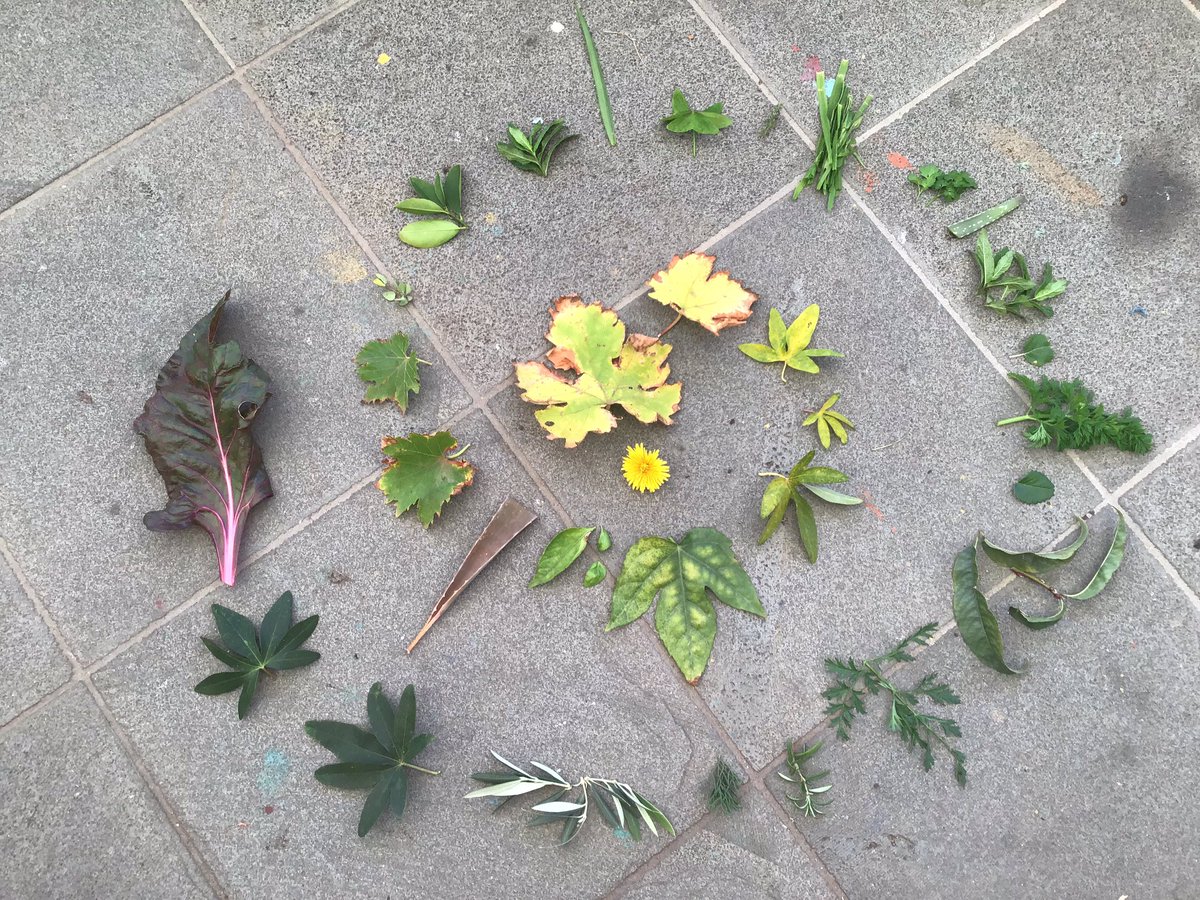 PEGScamp's tweet photo. Excitement is high amongst Year 4 boys today, as they explore their own backyards. Check out this mornings results of searching for a spectrum of colour shades. @PEGSJSb https://t.co/SOdsL3KDIj