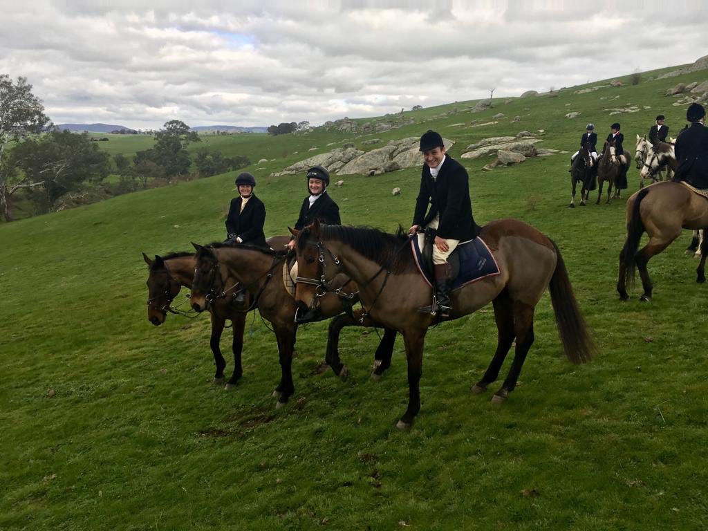 AusJumpsRacing's tweet photo. Did you know a jumps horse is the most sought after horse for life after racing. Why? Because the time invested in schooling then by some of the most versatile horse people in the country. @tomryan09 here with Vatevei https://t.co/BKbD6NyknL