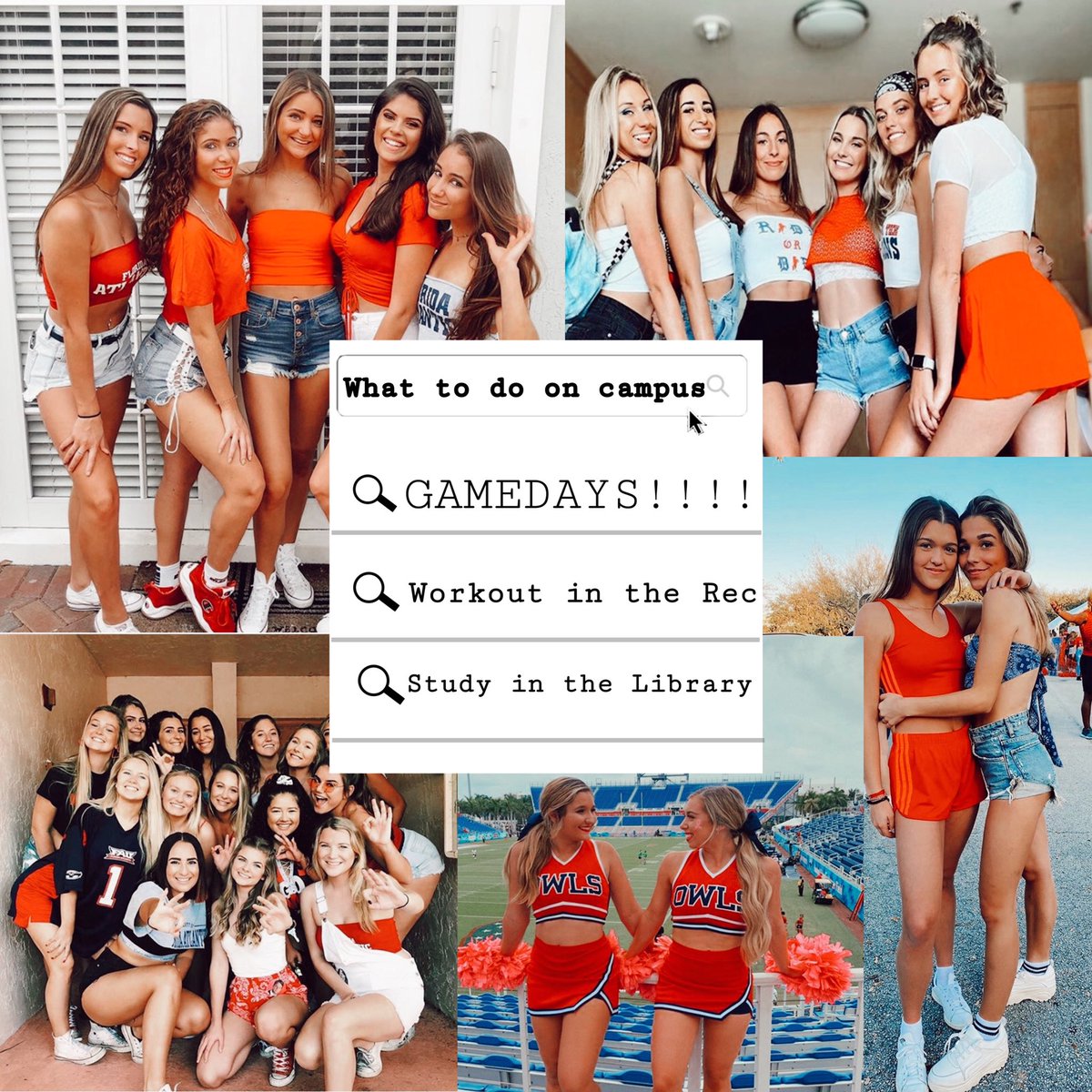 FAU Panhellenic tweet media