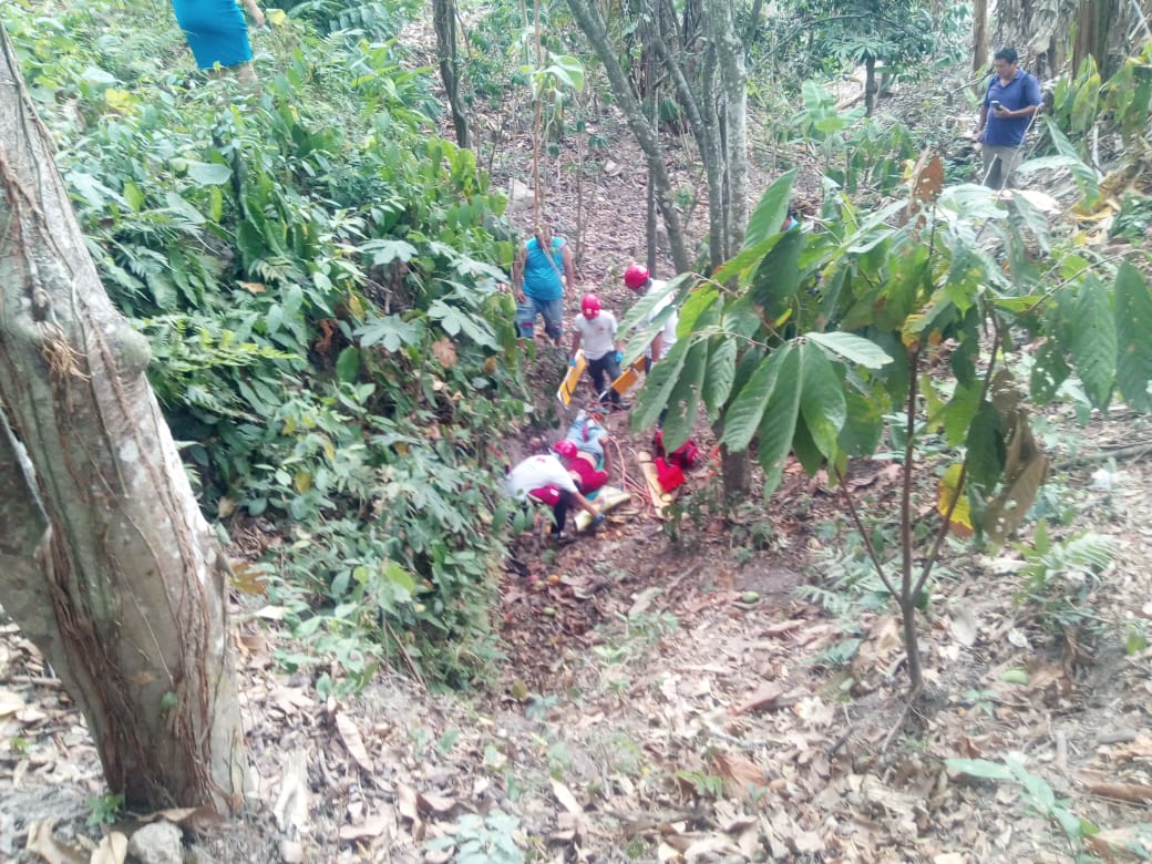 CRSCojutepeque's tweet photo. @CruzRojaSal, Seccional Cojutepeque atendió este dia una persona que cayó de un árbol quien resultó con múltiples golpes y fue trasladado al Hospital Nacional de Cojutepeque. https://t.co/7EYdd83My1