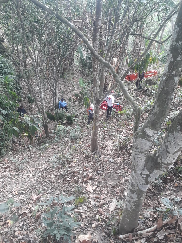 CRSCojutepeque's tweet photo. @CruzRojaSal, Seccional Cojutepeque atendió este dia una persona que cayó de un árbol quien resultó con múltiples golpes y fue trasladado al Hospital Nacional de Cojutepeque. https://t.co/7EYdd83My1