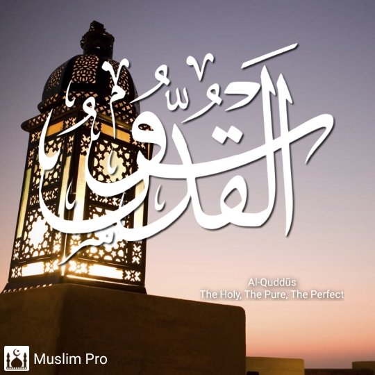 Ramylov_G's tweet photo. هو الله.. https://t.co/AN5nqffPBc