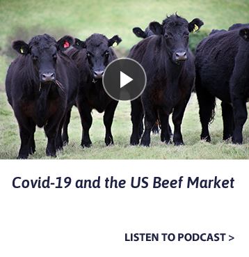 RabobankAU's tweet photo. #Podcast: Covid-19 and the US Beef Market. US analyst Don Close talks with @angus_gb & @holgate_blake about the US beef situation & how this might affect Australian and NZ beef exports. #Beef #RaboResearch #AusBeef https://t.co/hGZHGxv1OG https://t.co/SIhxM4A6Ih