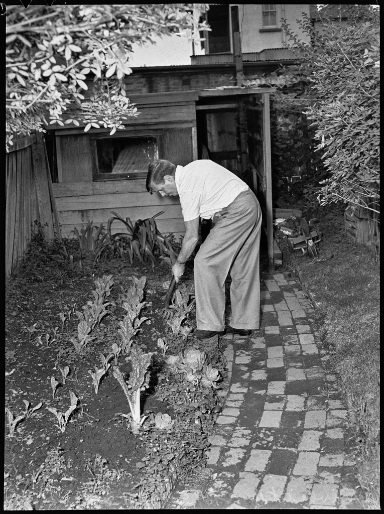 statelibrarynsw's tweet photo. Gardening, baking and reading – just a few 'isolation activities' captured by Ivan Ives for #PixMagazine in 1950.
https://t.co/ClEc7Cy461 https://t.co/LHhp8Om5XD