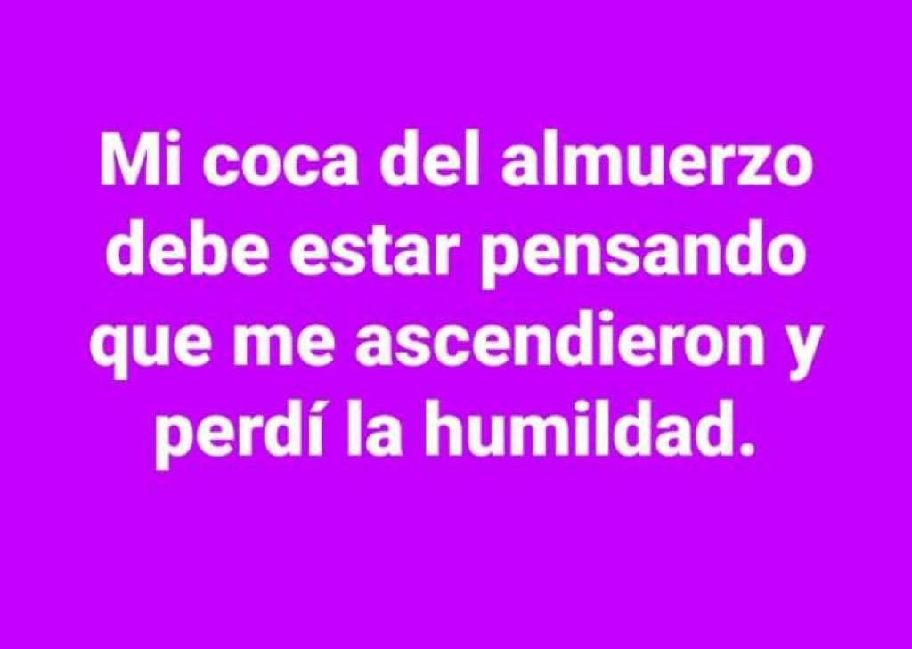 Profesor Flavio tweet media