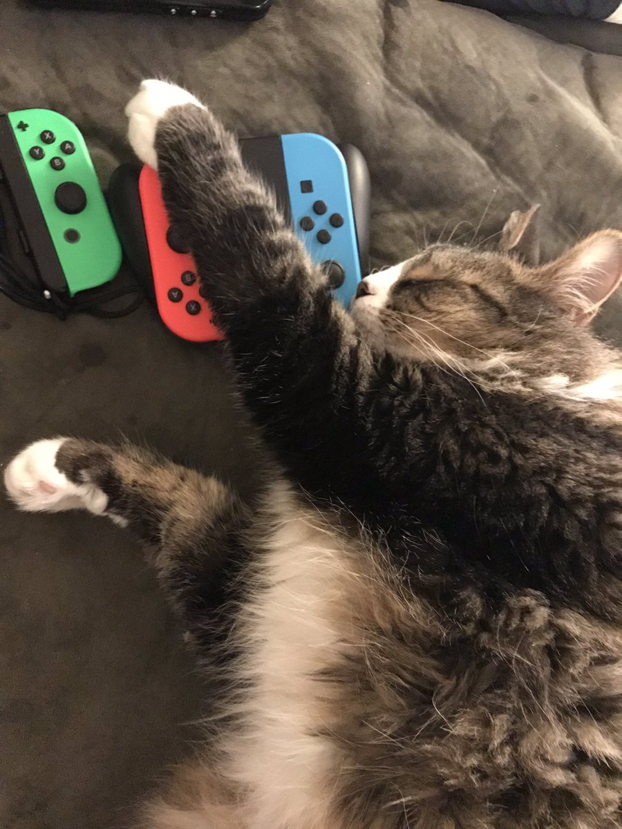 PocketPixelz's tweet photo. #gamers #gamercat #kitten #meow #meowed https://t.co/DQmROwnqAd