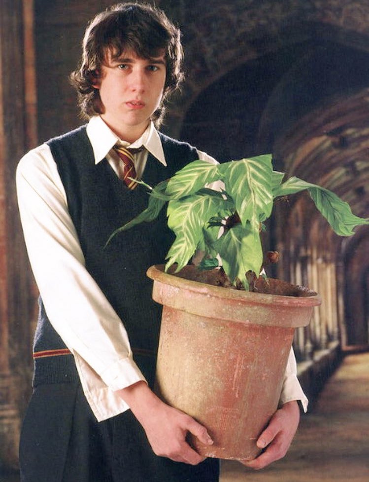 RonRonWeasley1's tweet photo. La tâche elle même aide Harry pour la prochaine tâche #HP4 https://t.co/yPZVEZi1X5