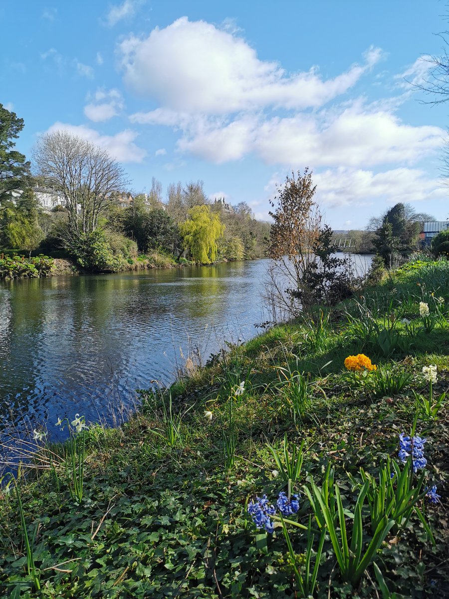 Richen Lin tweet media