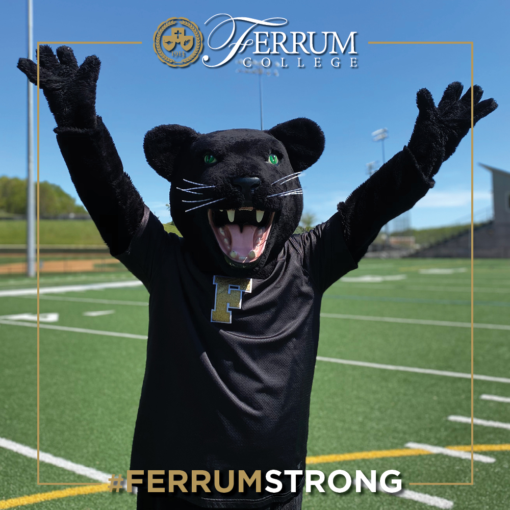 FerrumCollege's tweet photo. Our $2,500 donor challenge is about to expire and we just want to say…
THANK YOU for continuing to keep #FerrumStrong!
Our campaign continues until midnight tonight, so there is still time if you haven’t made a gift yet.
Visit here to make your gift: https://t.co/aNDvapR6oR. https://t.co/PT5YfdwBKt