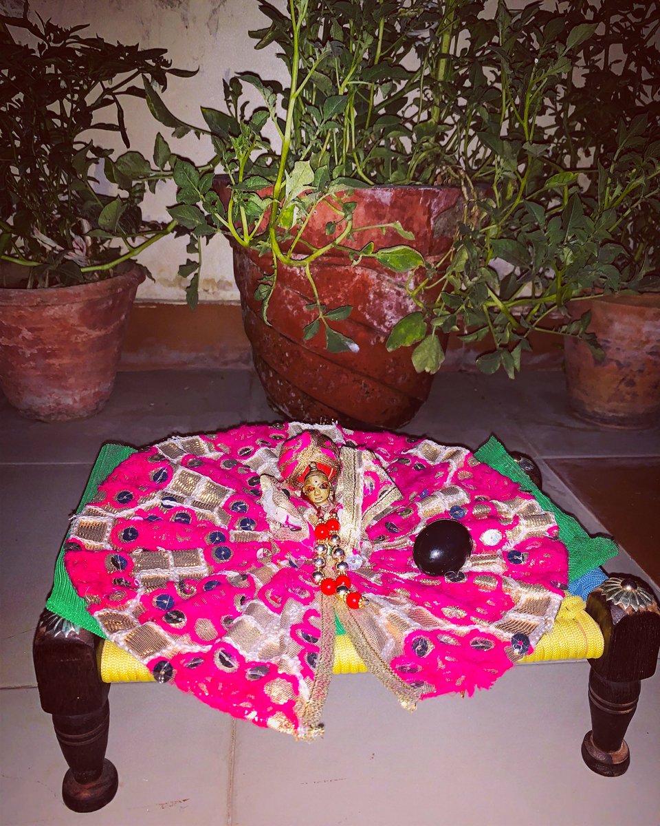 pancholi_nidhi's tweet photo. @pancholi_nidhi When Kanha is chilling❤️ #kanhalove #kanhadevottee #pink#happiness #spritual #notorthodox #peaceandlove #plantlover #meandkanha #savior #maykanhablessyouall #spreadgoodvibes #praiseeveryday #praiseveryone #dogoodfeelgood #happytime #stayhomestaysafe 💓 https://t.co/3U0BfSXmlp