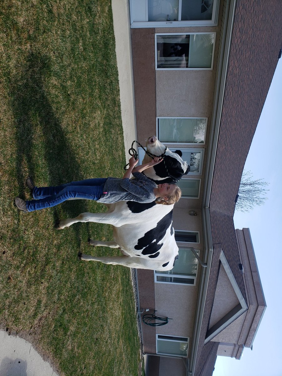 Gerrit Haarman tweet media