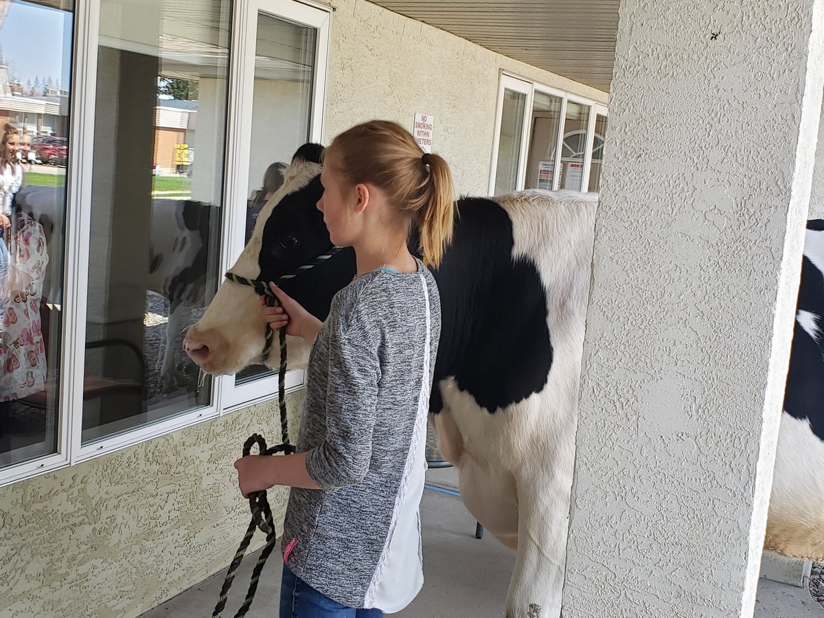 Gerrit Haarman tweet media