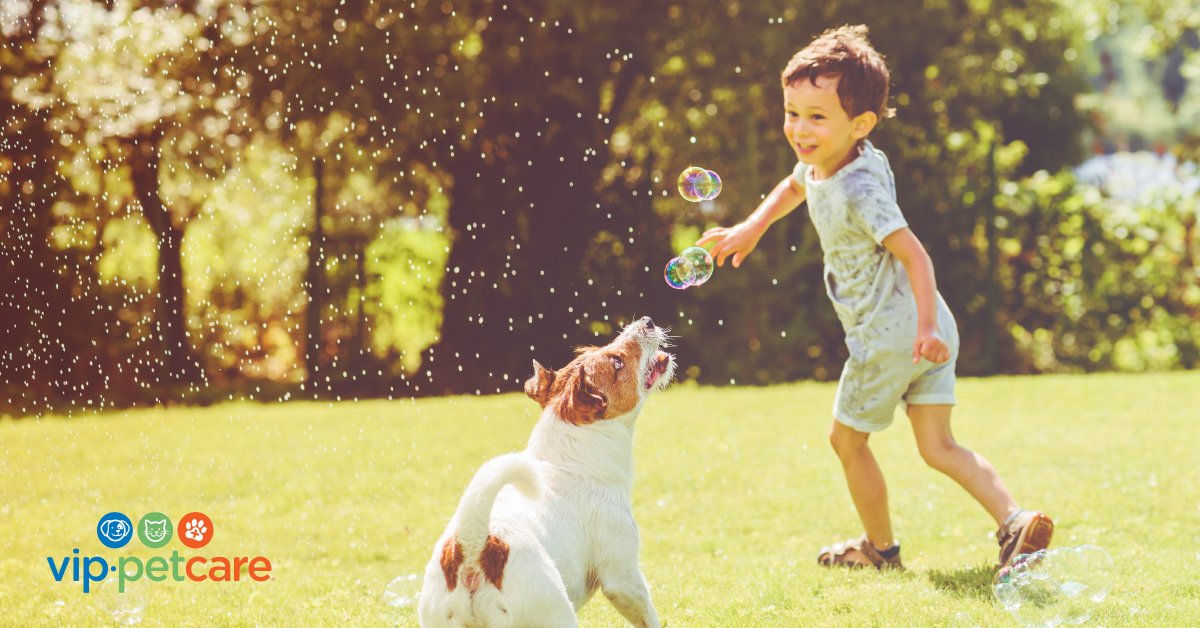 VipPetCare's tweet photo. Getting cabin fever lately? Your pets could be too! Take this extra time with your pets as an opportunity to give them additional training, or teach them a new trick. It can be a great way to relieve stress and pent-up energy in both you and your pet! #VIPPetcare https://t.co/a7d7ox7Bs9