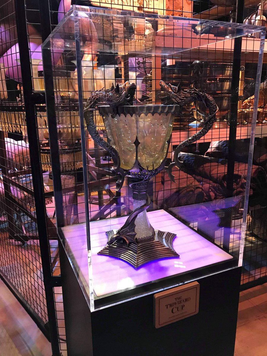 Harry Potter et la coupe de feu : le trophée des 3 sorciers que Harry trouvera dans le labyrinthe #HarryPotter